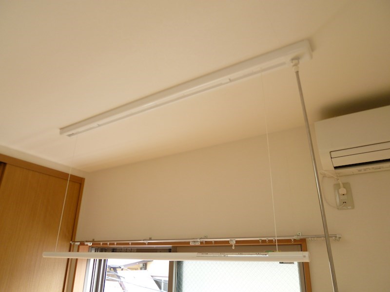 パイングローブ  その他4