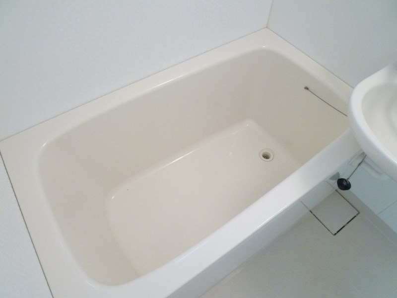 パイングローブ  その他11