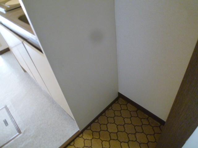 パインヒル その他2