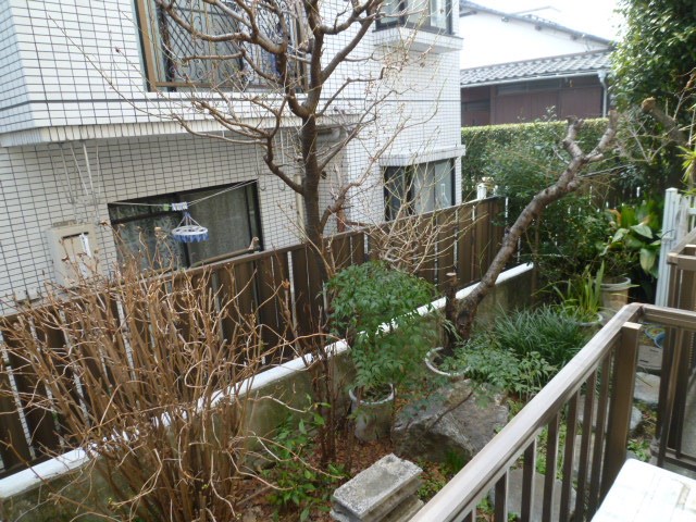 パインヒル ベランダ