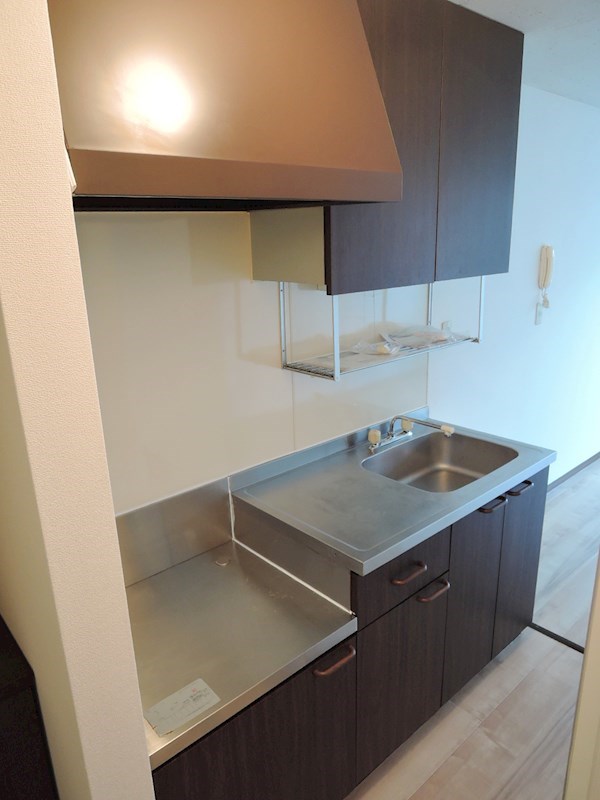 プレジオ代田 その他9