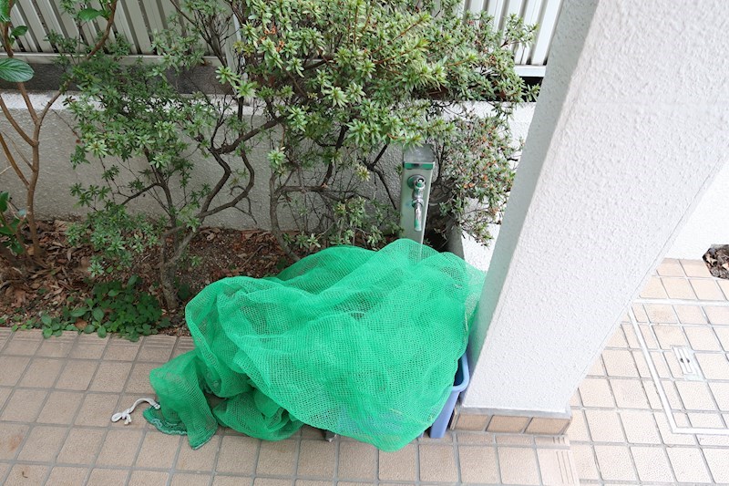 エトワール羽根木 その他16
