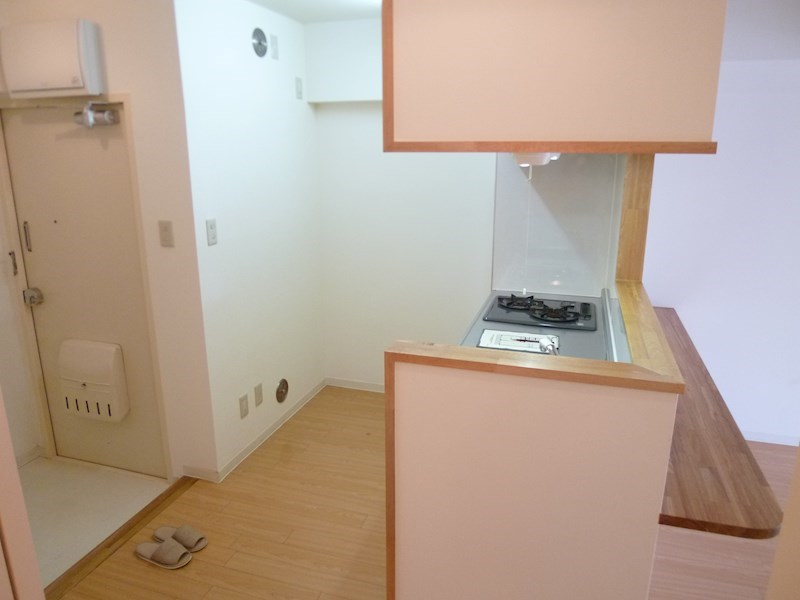 正吉マンション その他18