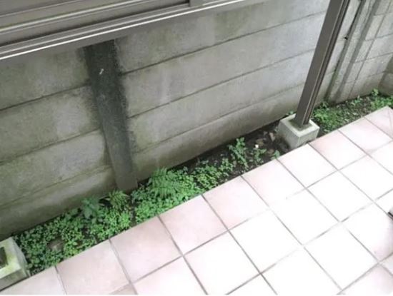 フラッツ　デュオ その他16