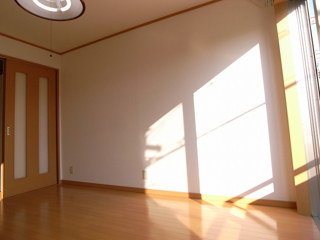 サンライズ椿 その他20