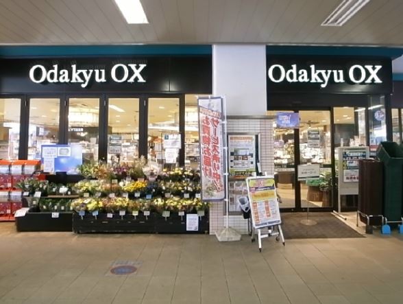 シャトー梅ヶ丘 周辺画像3