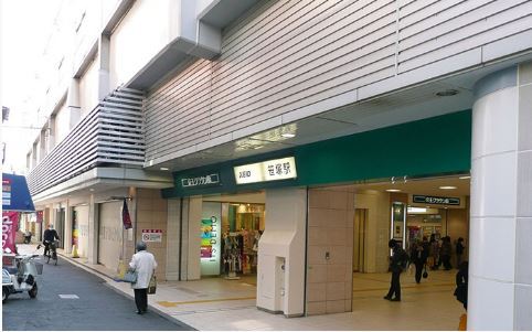 Ｆｏｒｅｓｔ　Ｔｅｒｒａｃｅ その他9
