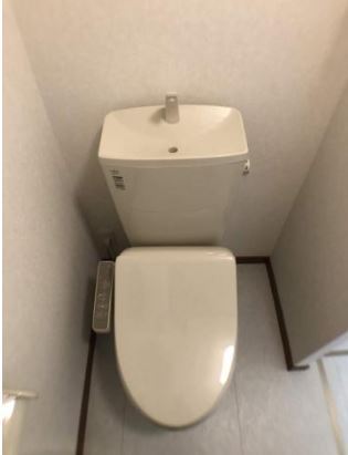 Ｆｏｒｅｓｔ　Ｔｅｒｒａｃｅ その他11