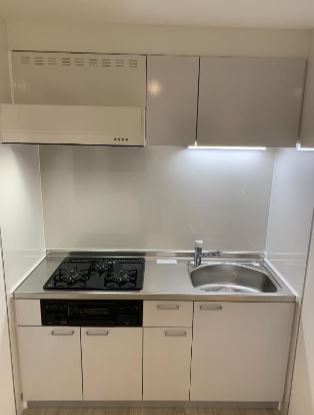 ルアーナ永福町 その他5