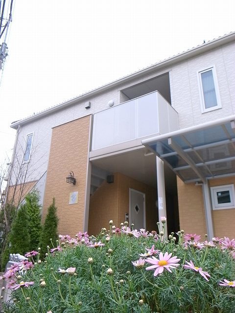Ｓｅｉ　Ｓｐａｚｉｏ その他27