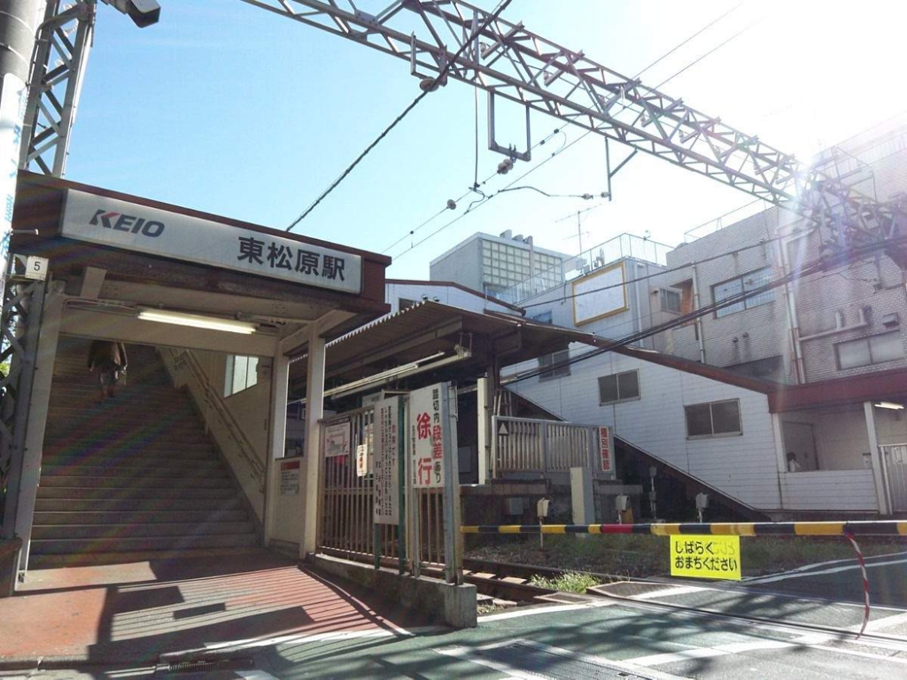 マツバラテラス その他9