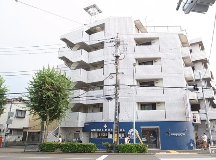静ハイツ 402号室 外観