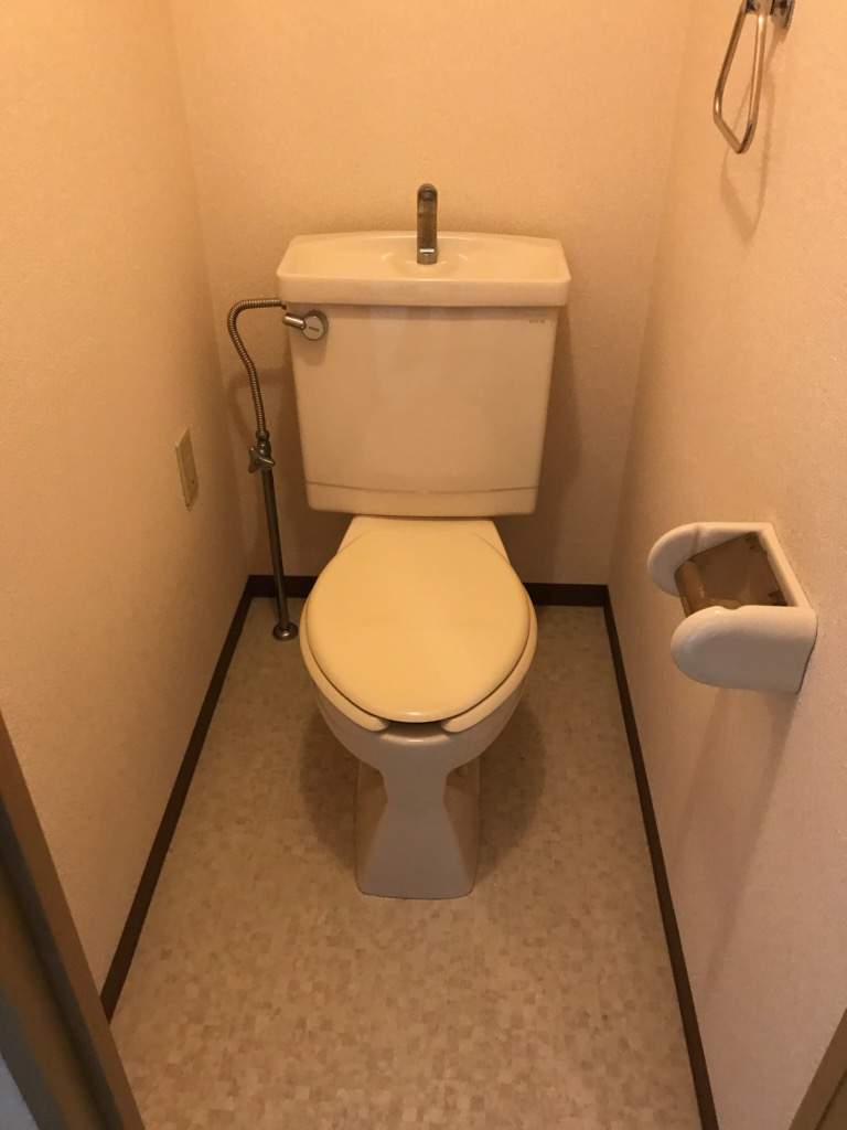 パレロワイアル その他12