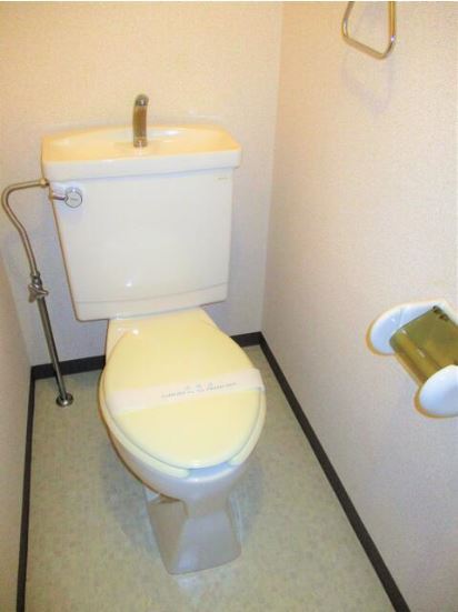 パレロワイアル その他12