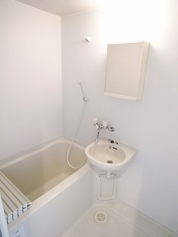 ナビウスセタガヤ   風呂画像