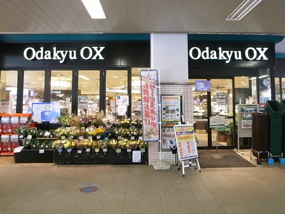 パラスト梅ヶ丘  周辺画像5