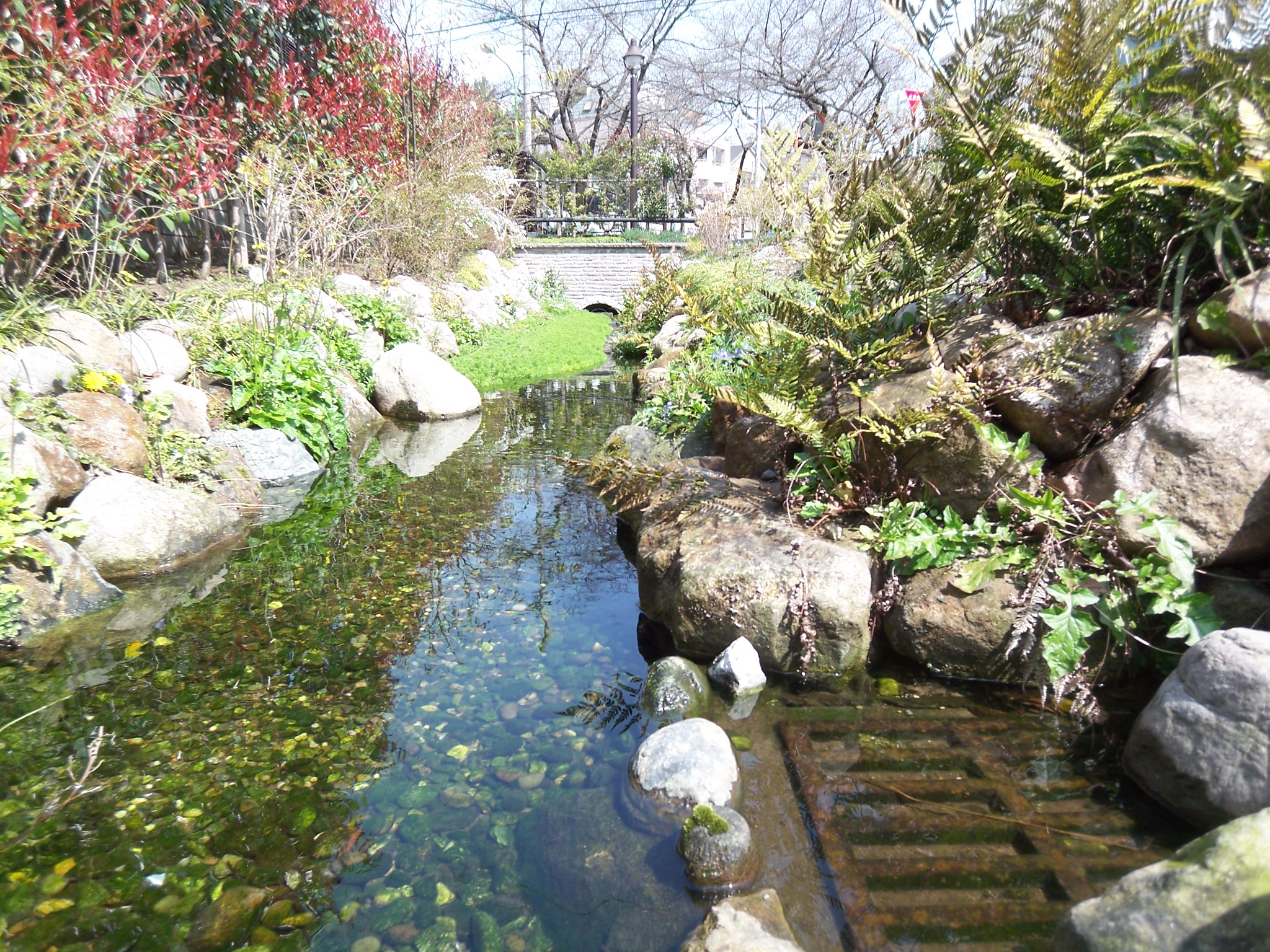 PINE　GARDEN　D棟 周辺画像6