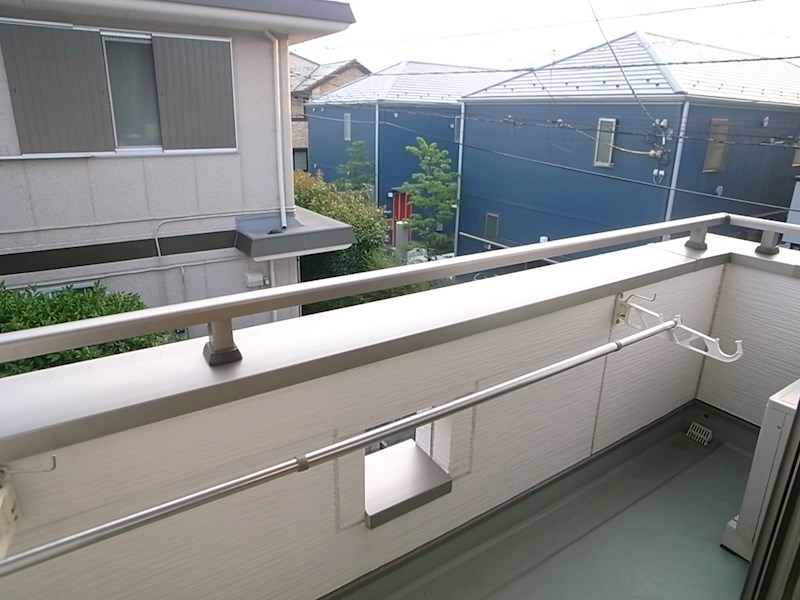 コルテセタガヤ  その他7