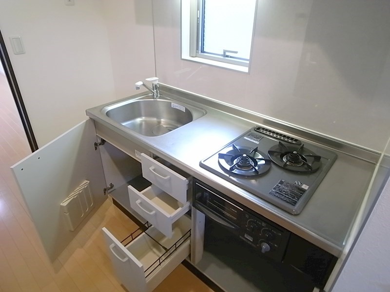 コルテセタガヤ  その他9