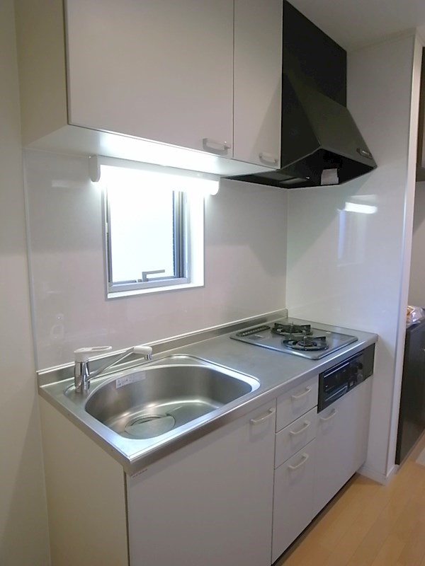 コルテセタガヤ  その他11