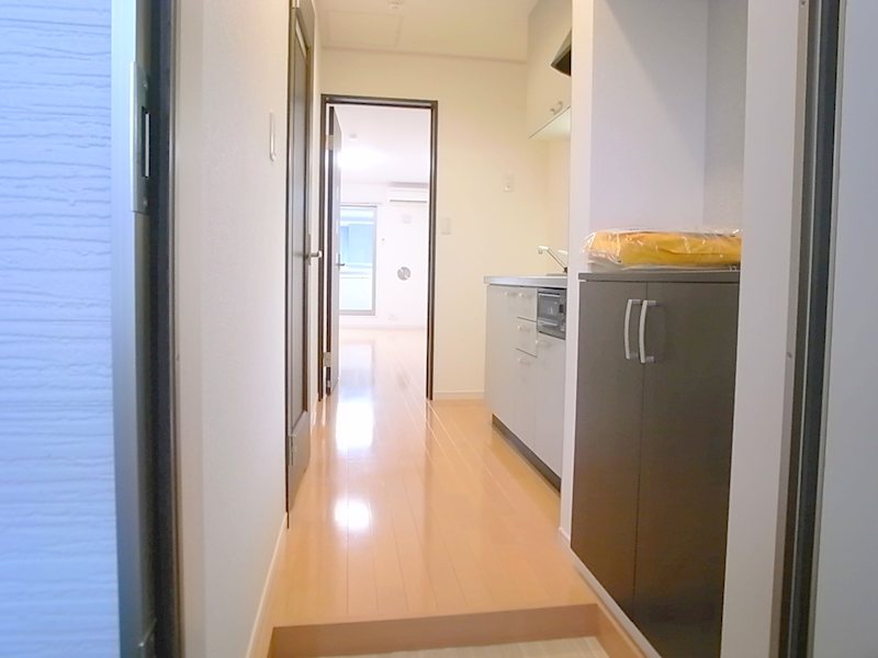 コルテセタガヤ  その他5