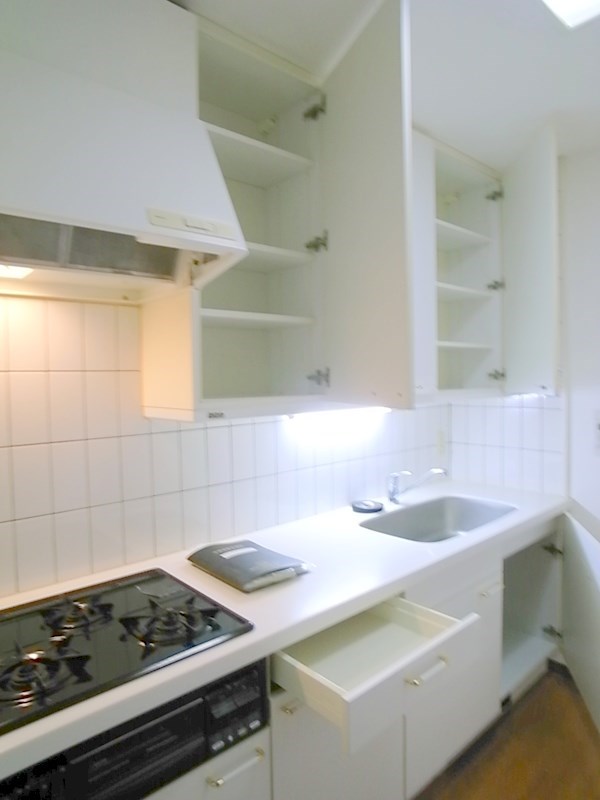 リズ松原Ⅱ その他3