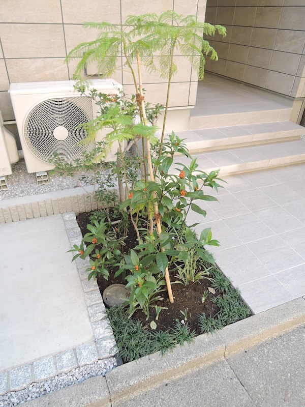 ヘッドハウス梅丘 その他外観2