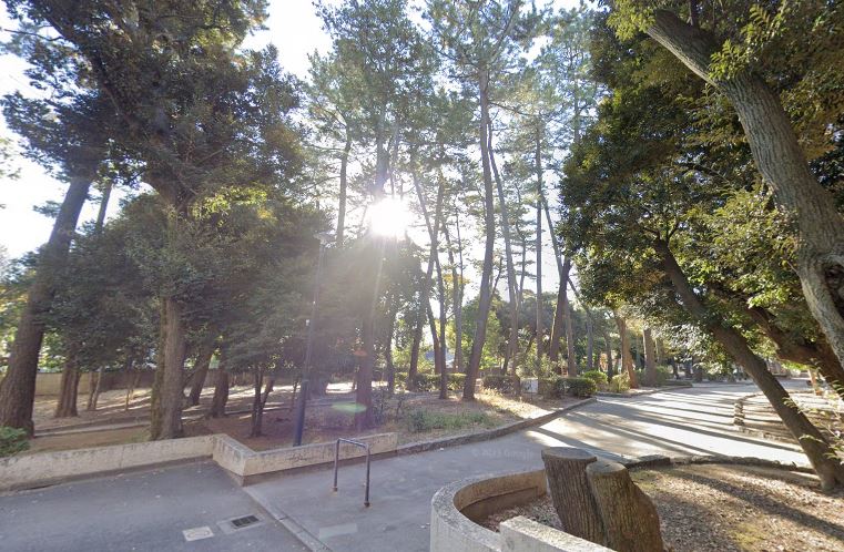 HF若林公園レジデンス 周辺画像6