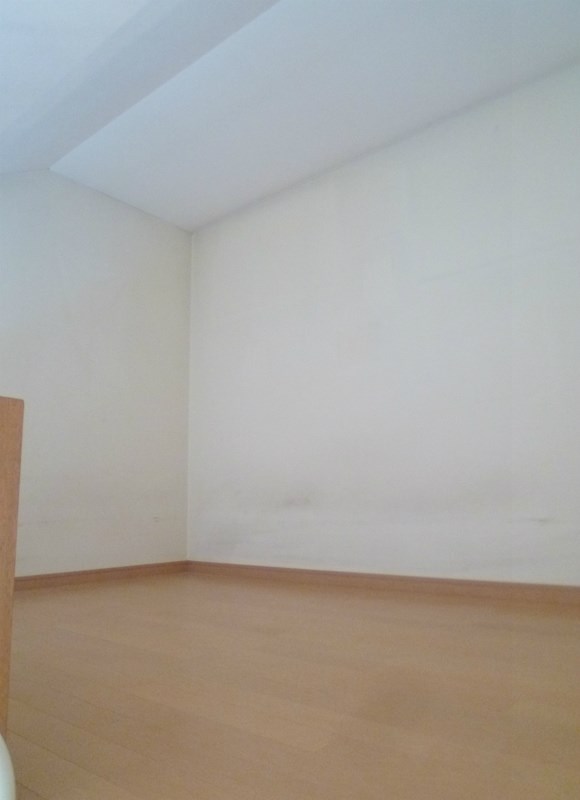 ハイム・ステラⅡ その他2