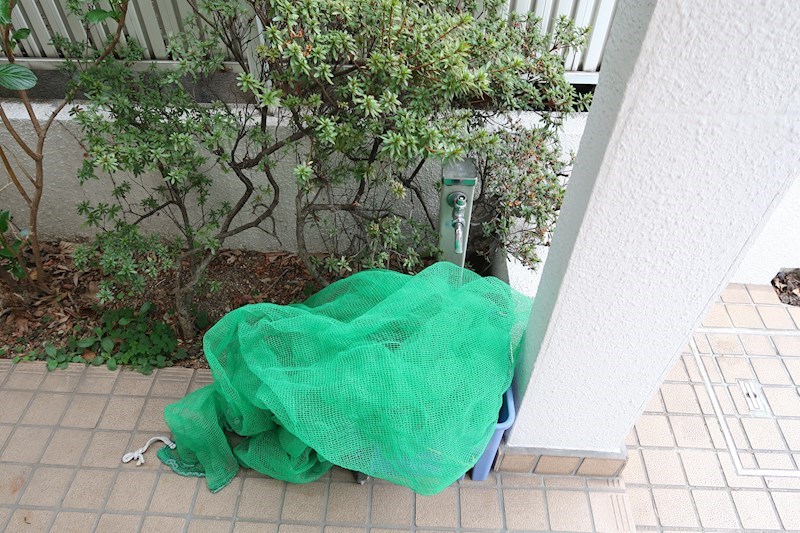 エトワール羽根木 その他7