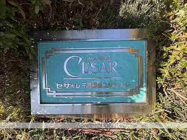 セザール千歳船橋コルティーレ その他18