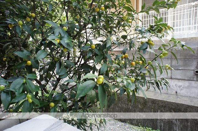 羽根木パークハイツ その他19