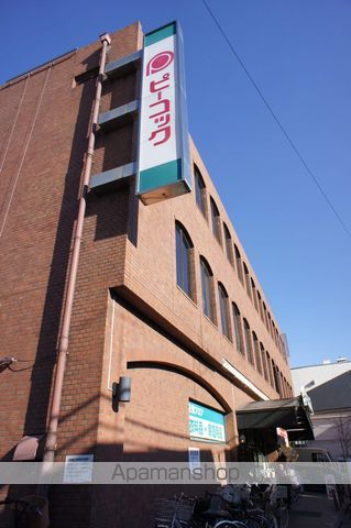 ドミール久我山 その他10