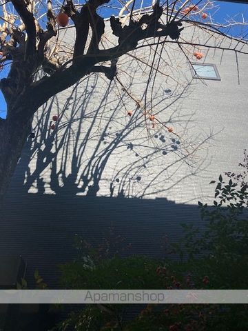 Ｃａｓａ　Ｂｅｌｌａ　Ｄａｉｔａ その他2
