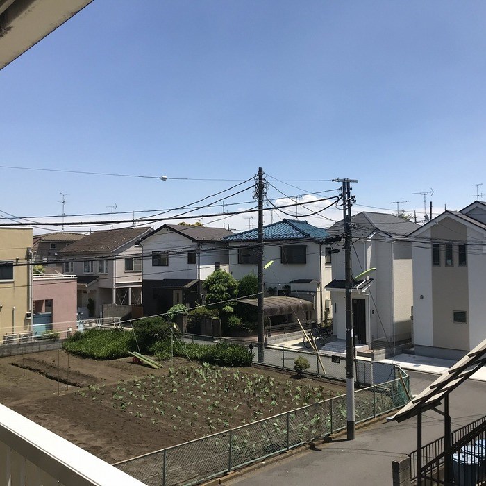 アプリコット その他3