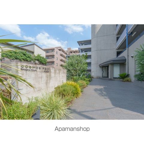 コスモリード世田谷砧 その他2