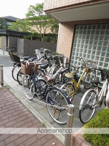 パレロワイアル その他2