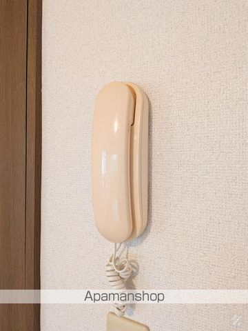 アモルファ　ベータ その他18