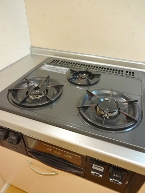 マノワールアトリオ その他14