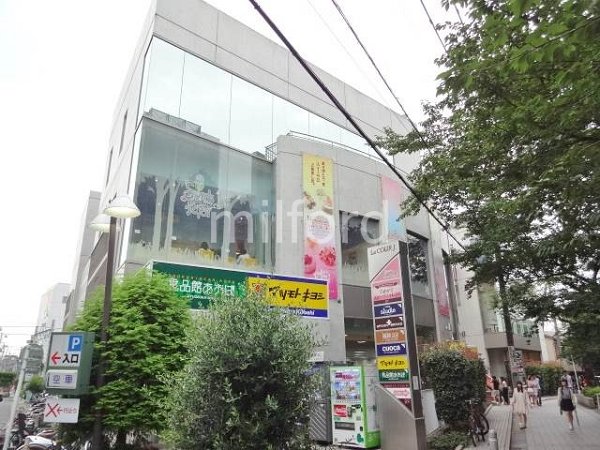 ドミール奥沢 その他21