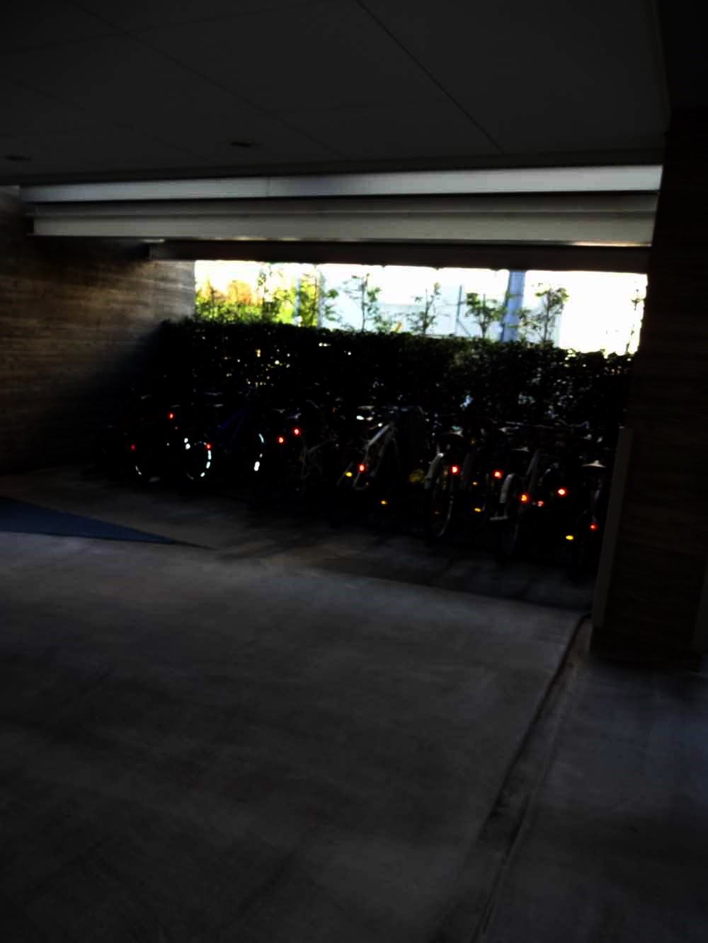 フレンシア玉川田園調布 その他13