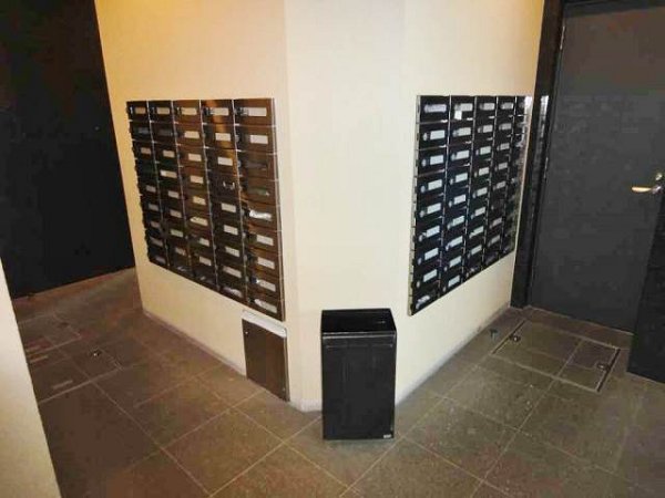 プロスペクト大森海岸 その他2