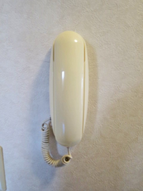 プチメゾン東大井 その他10