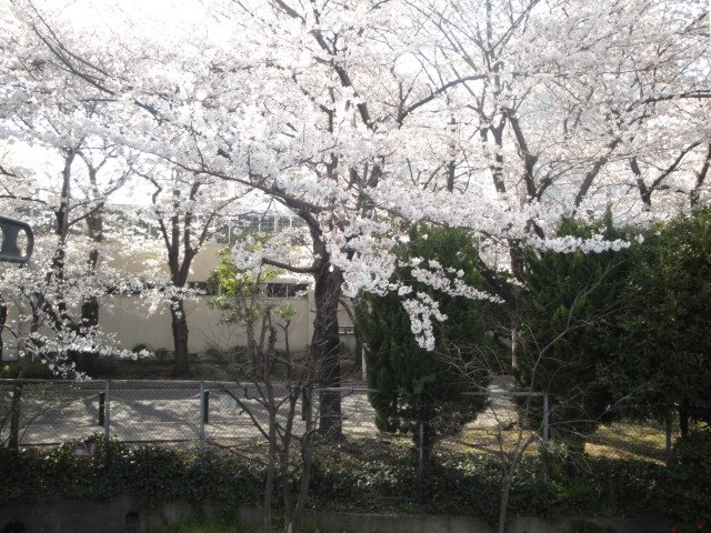 プチメゾン東大井 その他12