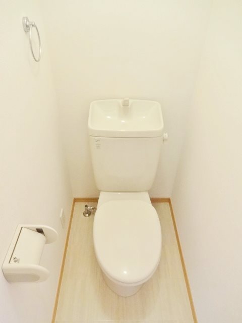 オリーブ その他3