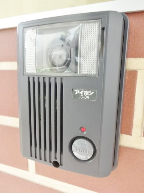 オリーブ その他6