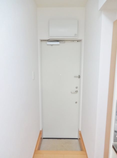 オリーブ その他7