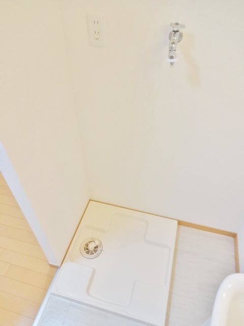 オリーブ その他9