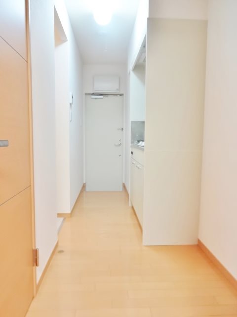 オリーブ その他10
