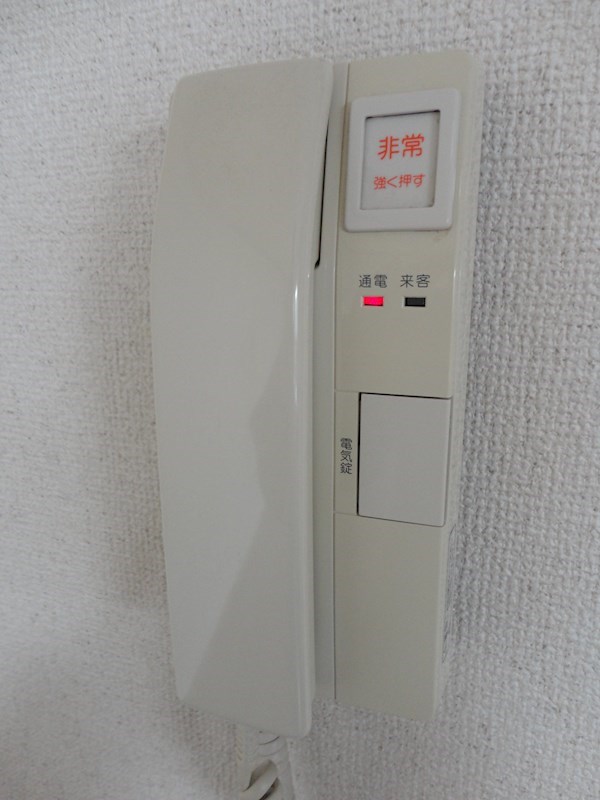 チェリーブラッサム その他11